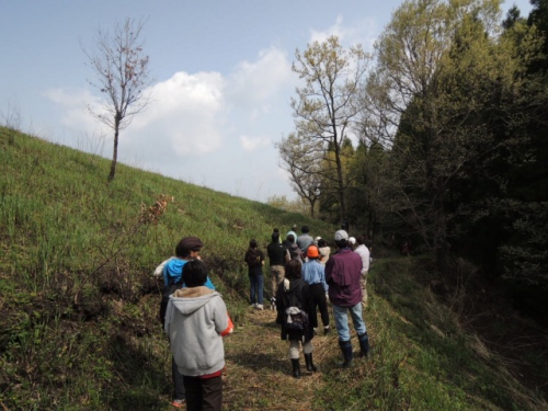 DSCN8704.jpg