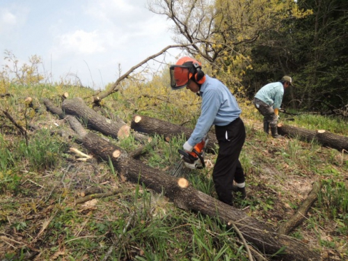 DSCN8718.jpg