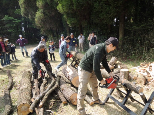 DSCN8740.jpg