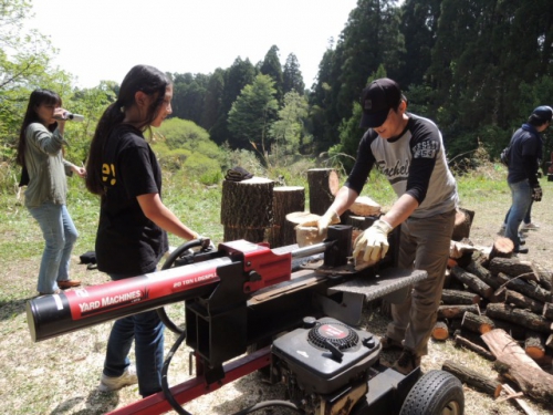 DSCN8912.jpg