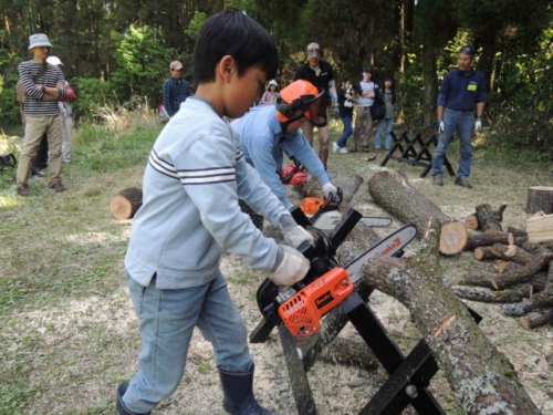 DSCN9068.jpg