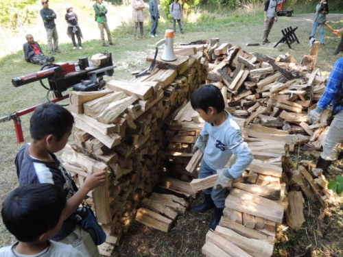 DSCN9086.jpg