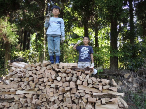 DSCN9096.jpg